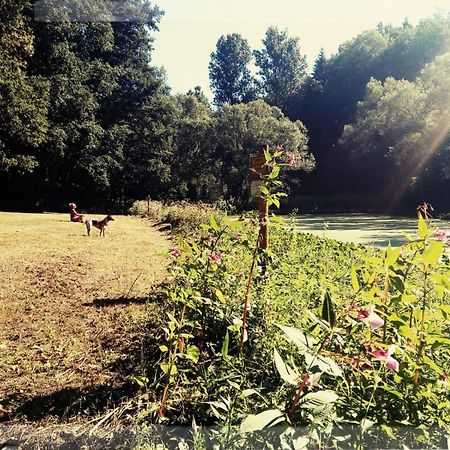 Sabine'S Wellnesslodge Ruppertsweiler ภายนอก รูปภาพ