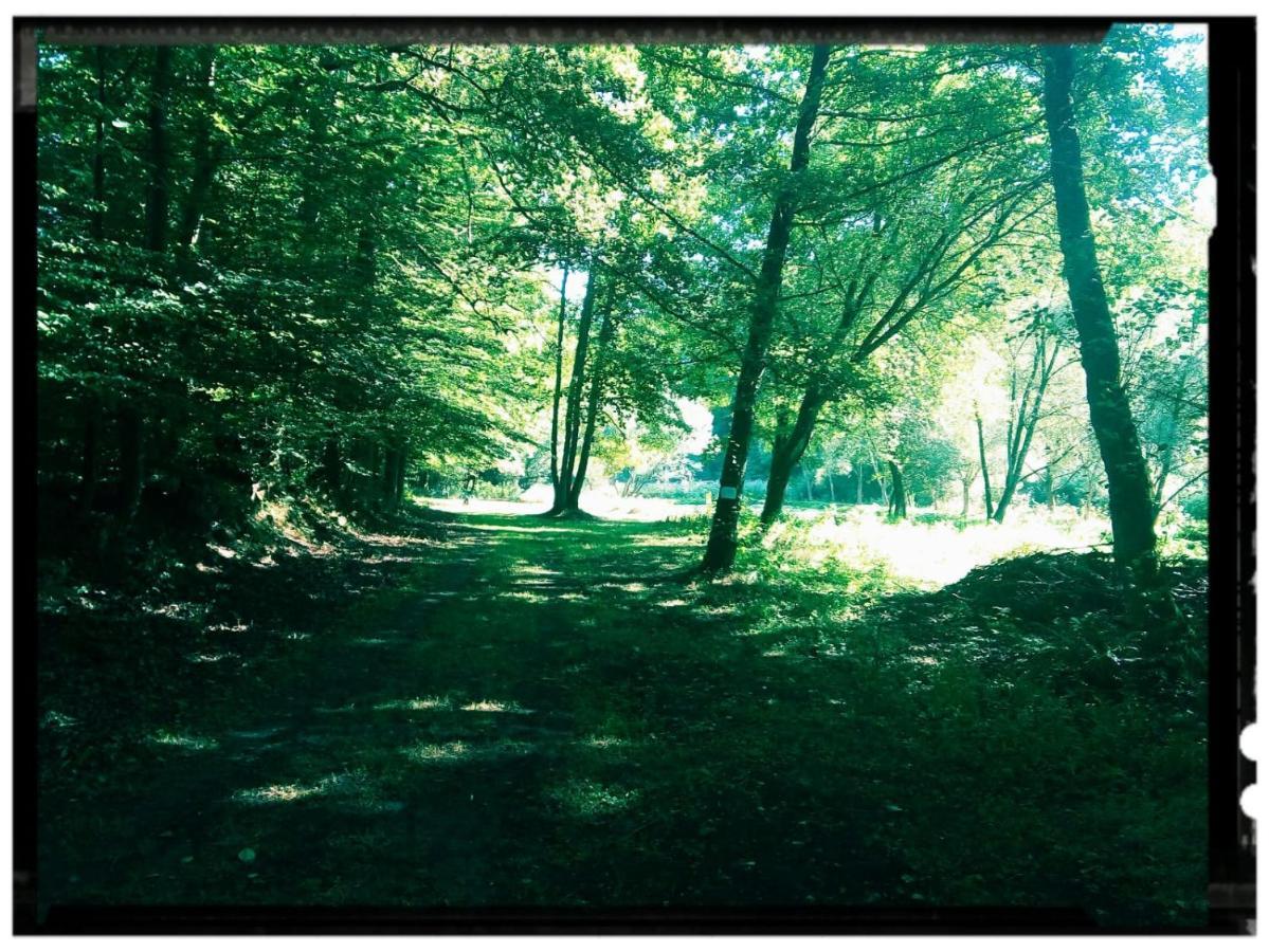 Sabine'S Wellnesslodge Ruppertsweiler ภายนอก รูปภาพ