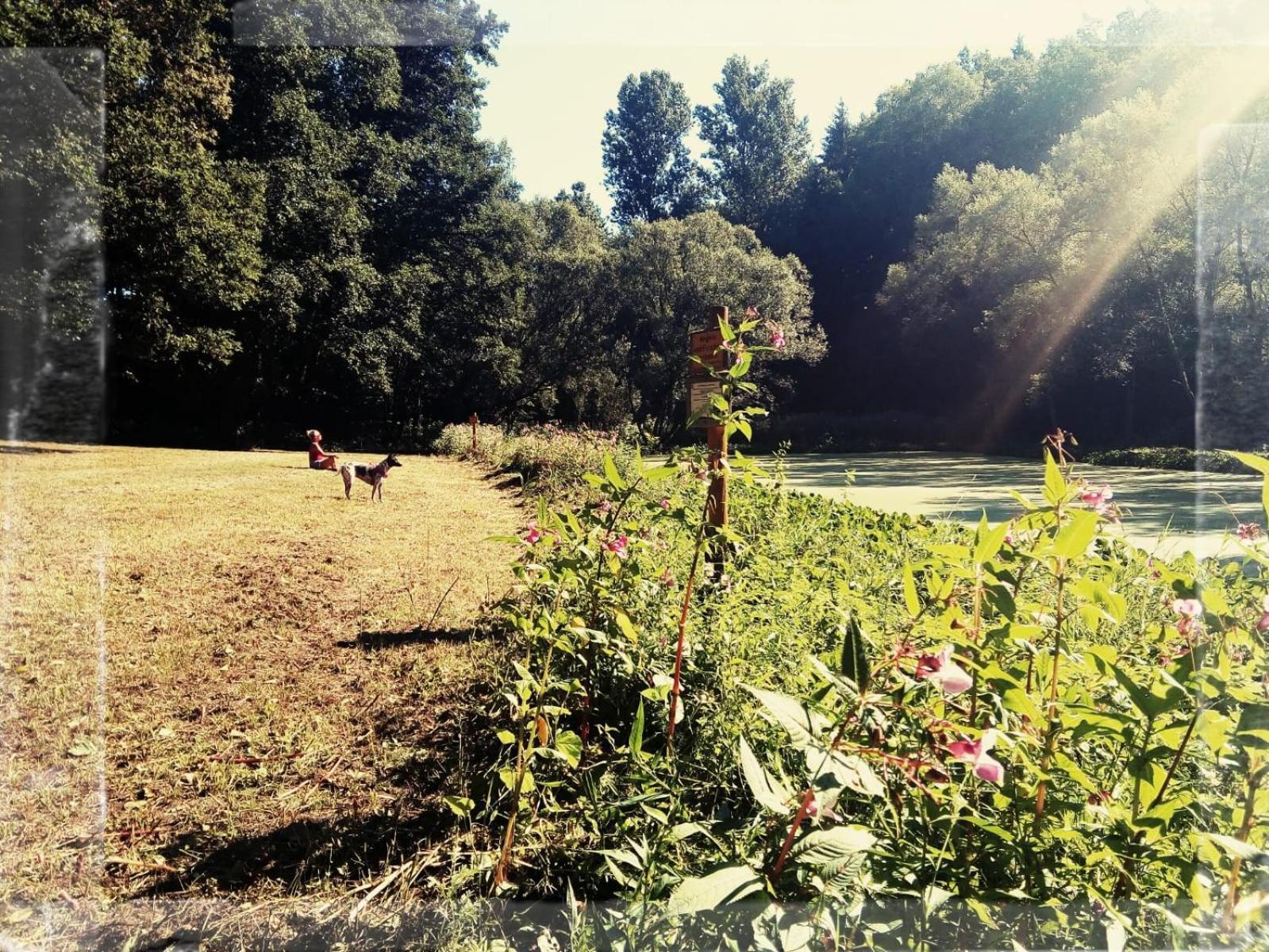 Sabine'S Wellnesslodge Ruppertsweiler ภายนอก รูปภาพ
